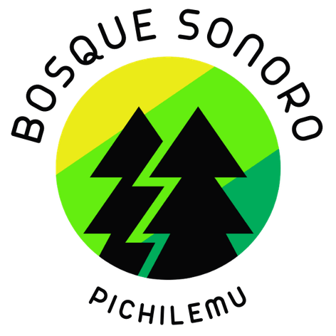 Bosque Sonoro escuela de música en Pichilemu